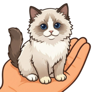 Katze